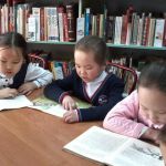 Центр детского и семейного чтения  г. Кызыл Республика Тыва