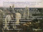 Увеличить (134.2Kb) 5.9Kb